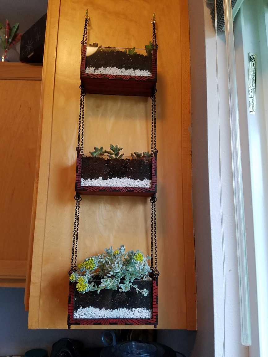 Beta Project MultiTiered Hanging Planter Concept