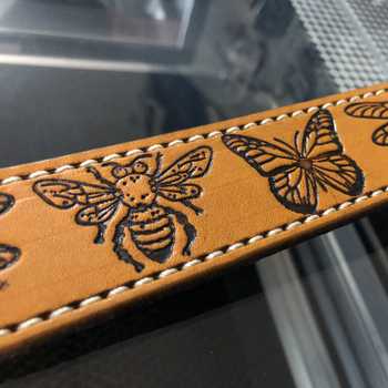 Spring insect belt details