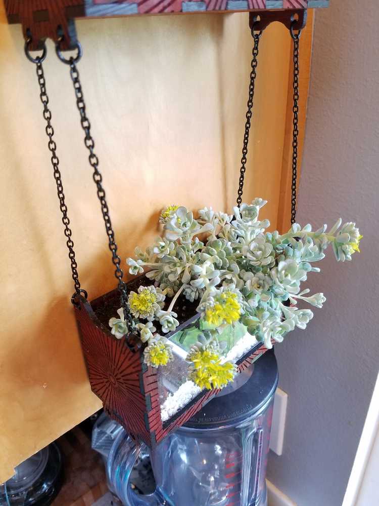 Beta Project MultiTiered Hanging Planter Concept